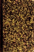 Описание и изображения рыб встречающихся в Российской Империи артикул 400c.